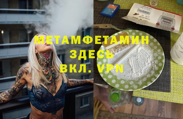 индика Волоколамск