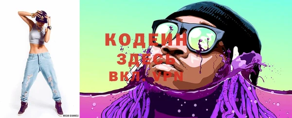индика Волоколамск