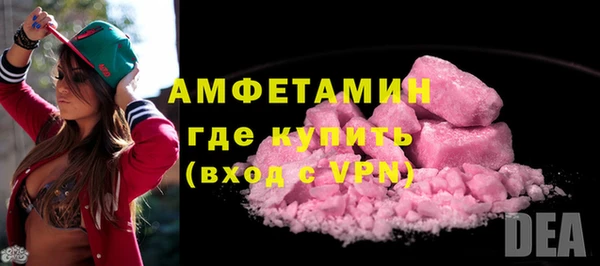 индика Волоколамск