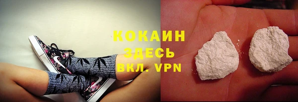 индика Волоколамск