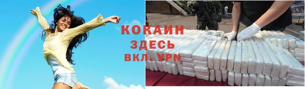 индика Волоколамск