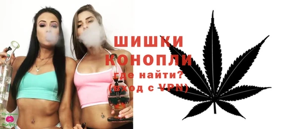 индика Волоколамск