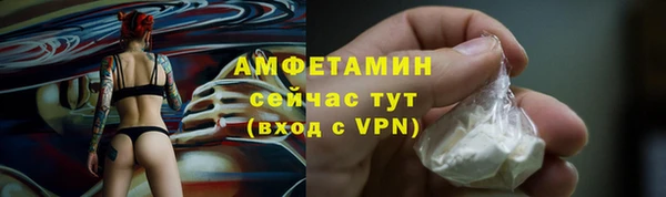 индика Волоколамск