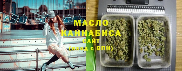 индика Волоколамск