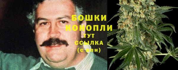 ALPHA PVP Гусев