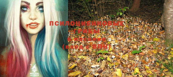 индика Волоколамск