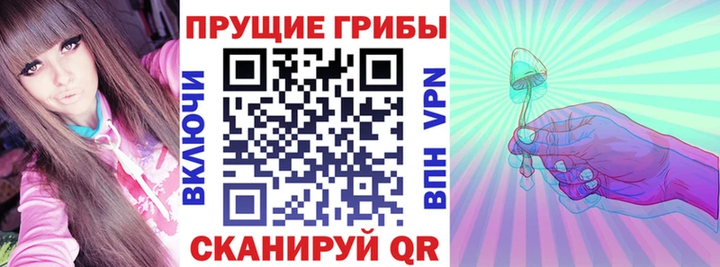 Купить закладки  Ртищево  Псилоцибиновые грибы мицелий 